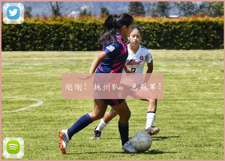 刚刚！杭州队，总冠军！