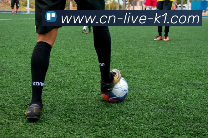 K1体育APP 高清赛事图
